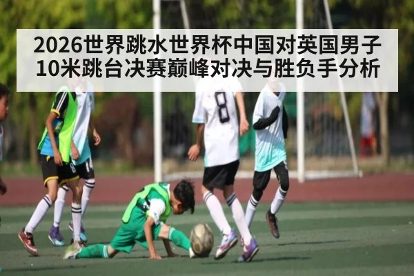 2026世界跳水世界杯中国对英国男子10米跳台决赛巅峰对决与胜负手分析 - NG28