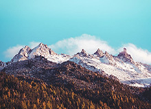 南宫28-英超-谢什科替补破门 曼联1-0埃弗顿位居第四